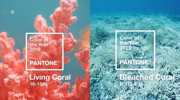 couleur pantone 2019 2020 comunication